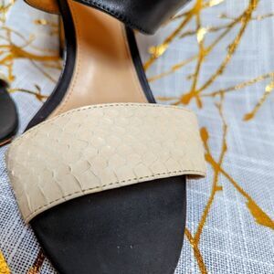 vince camuto snake skin heeled sandals